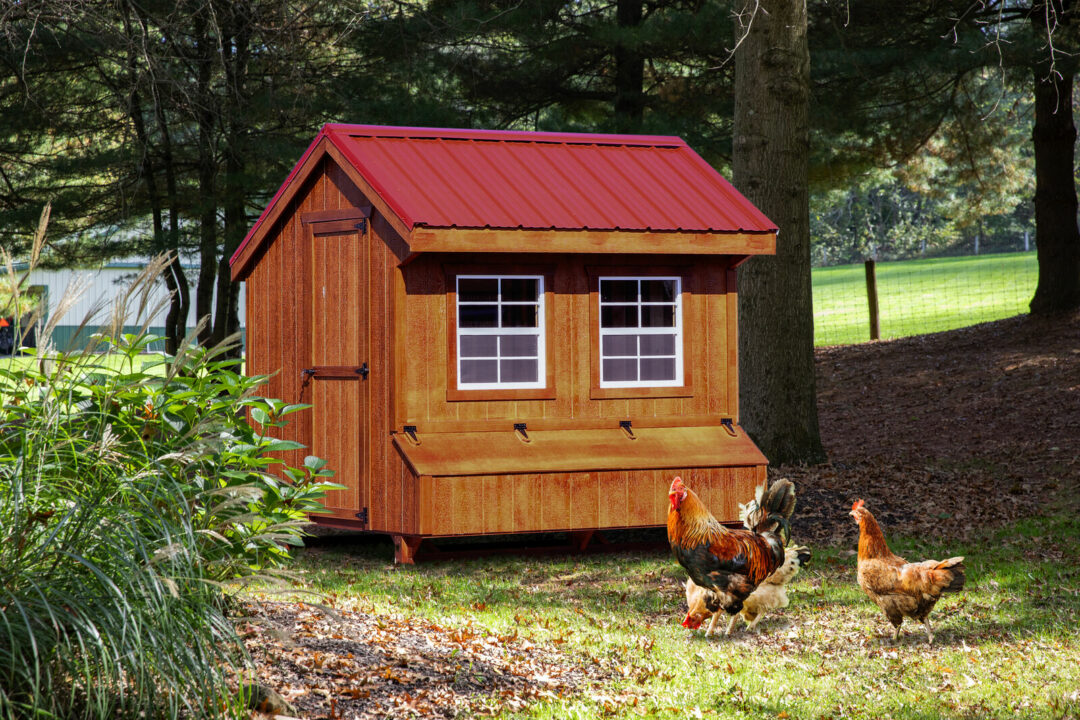 Quaker Coop 7’x8′